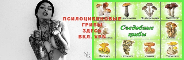 бошки Новозыбков