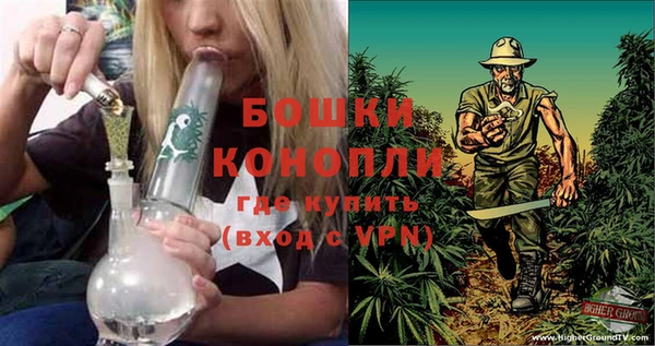 бошки Новозыбков