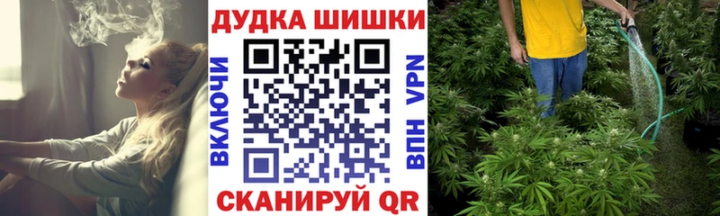 мега зеркало  Щёкино  Конопля VHQ 